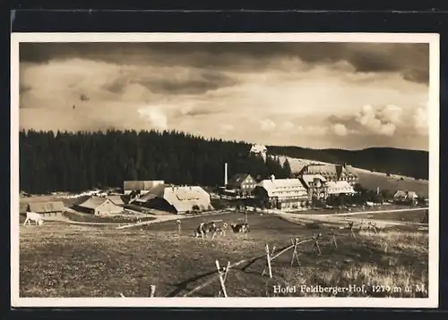 AK Feldberg, Teilansicht mit Hotel Feldberger Hof