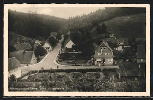 AK Tanne, Ortsansicht mit Blick in die Waldstrasse