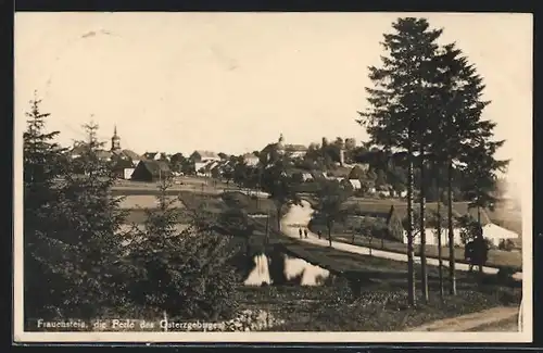 AK Frauenstein /Osterzgebirge, Ortsansicht bei Tag