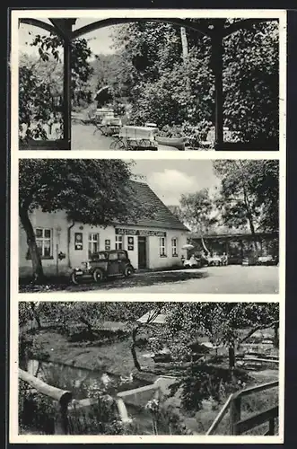 AK Vogelsang über Torgau, Gasthaus Vogelsang, Garten, Uferpartie