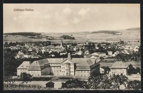 AK Château-Salins, Vue Générale