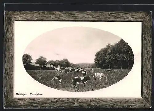 AK Hörsingen, weidende Kühe auf der Winkelwiese
