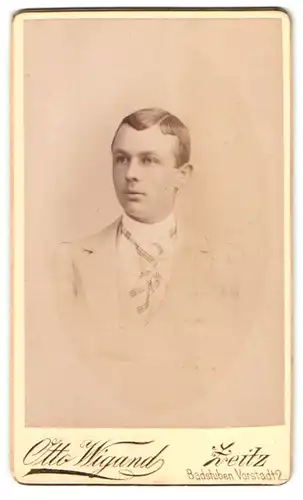 Fotografie Otto Wigand, Zeitz, Badstubenvorstadt 2, Junger Mann mit pomadisierten Haaren und gestreifter Krawatte