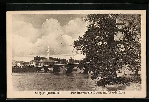 AK Skoplje (Ueskueb), Der historische Baum im Wardarfluss