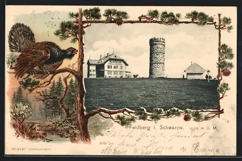 Passepartout-Lithographie Feldberg i. Schwarzw., Gasthaus zum Feldbergturm, Auerhahn