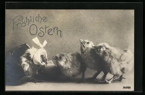 AK Verletztes Osterküken, Fröhliche Ostern