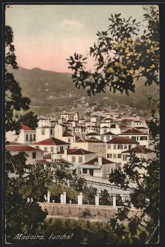 AK Funchal /Madeira, Teilansicht mit Bergblick