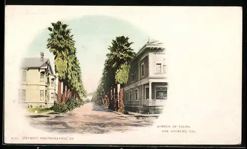 AK Los Angeles, CA, Avenue of Palms