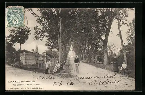 AK Levignac, Vue generale, Allées Damour