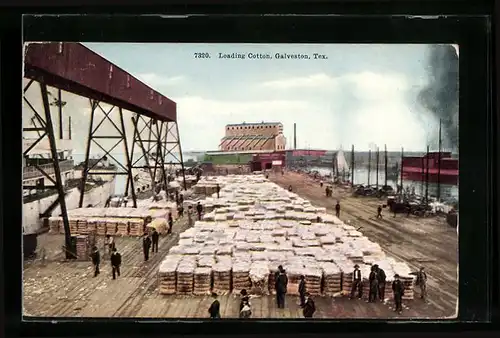 AK Galveston, TX, Loading cotton