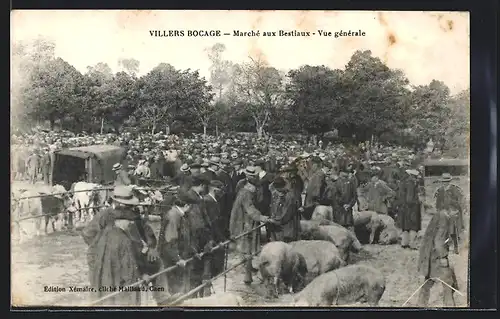 AK Villers Bocage, Marche aux Bestiaux, Vue generale