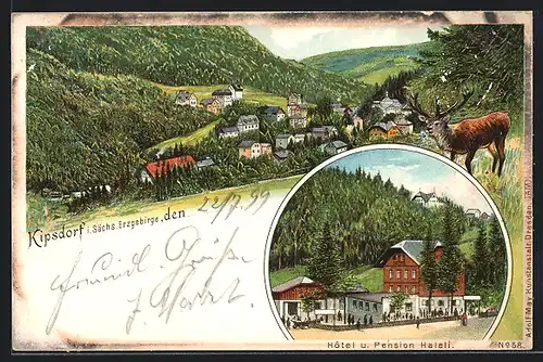 Lithographie Kipsdorf i. Sächs. Erzgebirge, Ortsansicht mit Hôtel u. Pension Halali