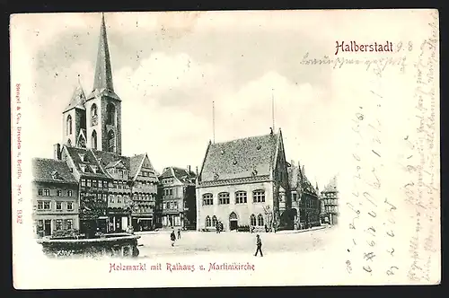 Relief-AK Halberstadt, Holzmarkt mit Rathaus und Martinikirche