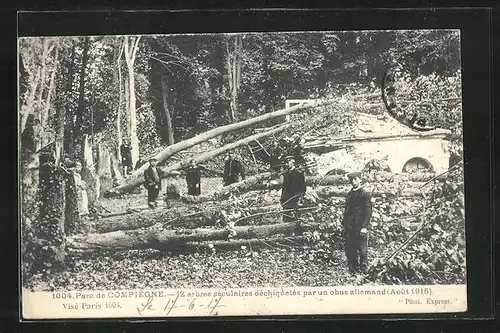 AK Compiégne, le Parc, 12 arbes seculaires déchiquetés par un obus allemand 1915