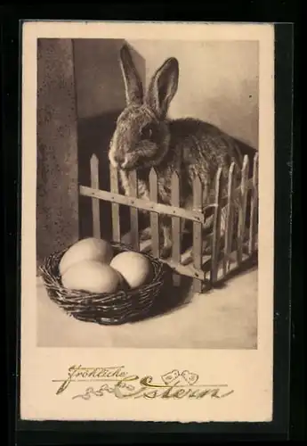 AK Osterhase im Käfig, Osterkörbchen