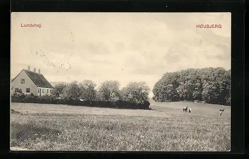 AK Höjbjerg, Lundshöj, auf den Feldern am Gehöft