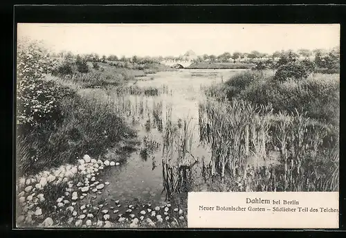 AK Dahlem bei Berlin, Neuer Botanischer Garten, Südlicher Teil des Teiches