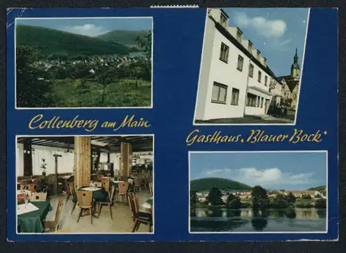 AK Collenberg a. Main, Ortsansicht und drei Ansichten vom Gasthaus Blauer Bock