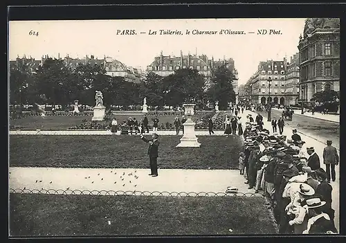 AK Paris, Les Tuileries, Le Charmeur d`Oiseaux, Älterer Herr mit Tauben