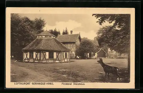 AK Gernrode - Harz, Försterei Sternhaus