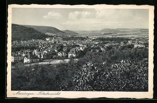 AK Meiningen, Totalansicht aus der Vogelschau