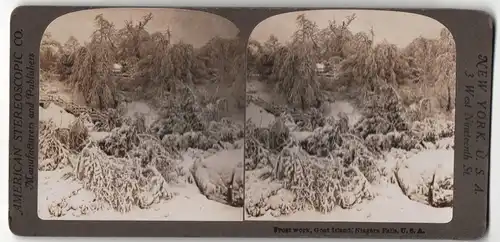 Stereo-Fotografie American Stereoscopic Co., New York, Ansicht Niagara Falls, NY, Goat Island