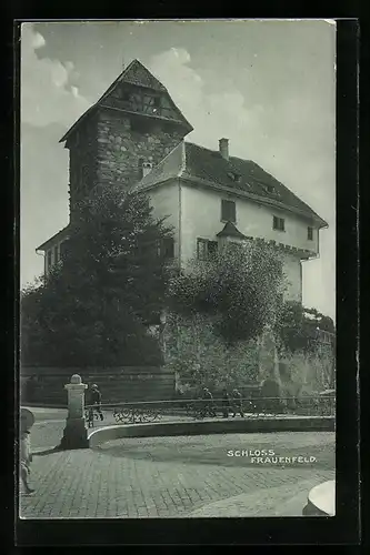 AK Frauenfeld, Schloss Frauenfeld