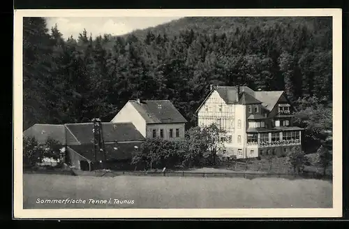 AK Tenne im Taunus, Blick auf die Sommerfrische am Waldrand