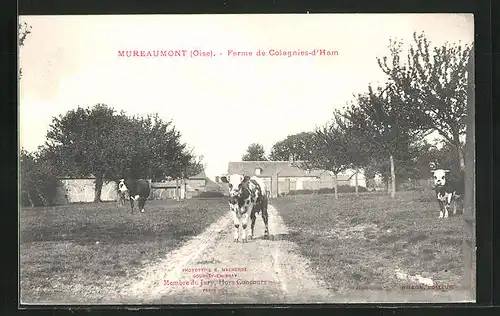 AK Mureaumont, Ferme de Colagnies-d'Ham