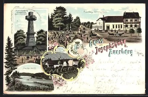 Lithographie Auerberg i. Harz, Gasthaus und Pension Josephshöhe u. Auerberg, Aussichtsturm, Frankenteich