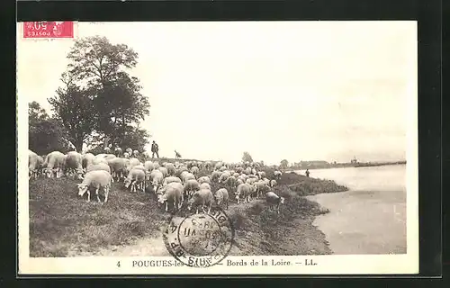 AK Pougues-les-Eaux, Bords de la Loire