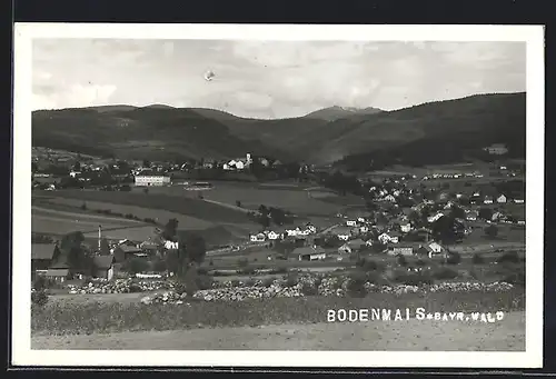 AK Bodenmais /Bayr. Wald, Generalansicht des Ortes