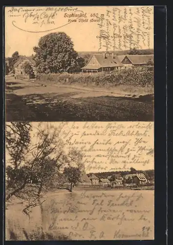 AK Sophienhof / Kr. Ilfeld, Gasthaus Brauner Hirsch, Ortsansicht