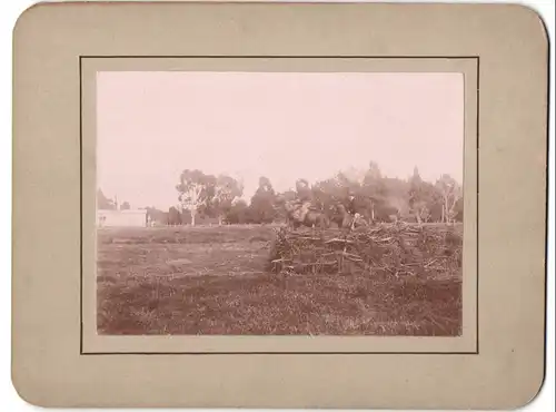 Fotografie Fotograf unbekannt, Ansicht Buenos Aires, Sprungarten, Pferde überspringen Hindernis