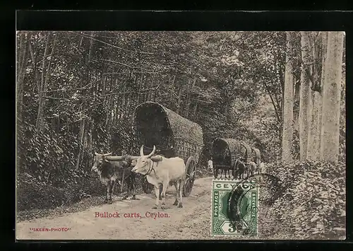 AK Ceylon, Bullock carts, Singhalesische Ochsenwagen