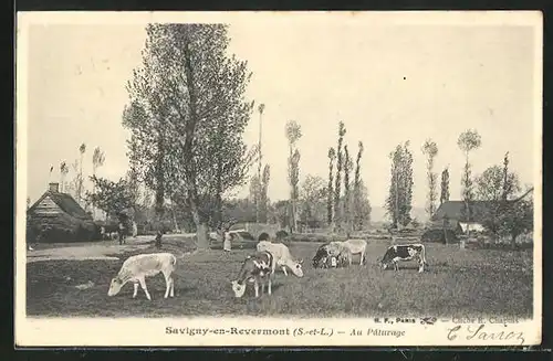 AK Savigny-en-Revermont, au Paturage