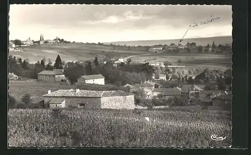 AK Saint-Amour-Bellevue, Grand cru du Beaujolais, Vue générale