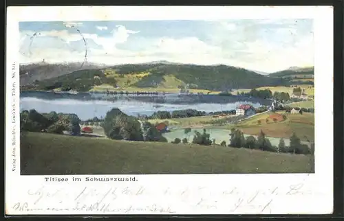 Künstler-AK Titisee im Schwarzwald, Teilansicht