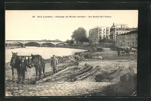 AK Dax, Attelage de Mules Landals - Les Quais de l`Adour