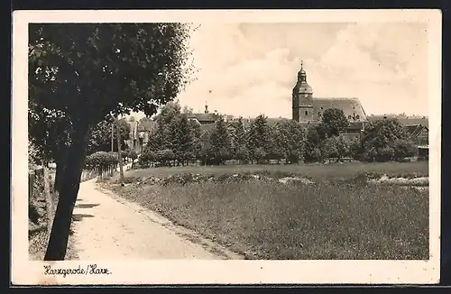 AK Harzgerode / Harz, Blick zur Kirche