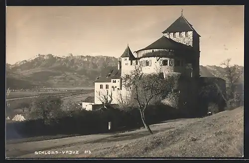 AK Vaduz, Schloss Vaduz mit Umgebung