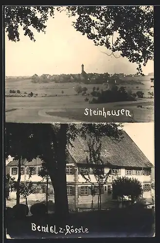 AK Steinhausen, Gasthaus zum Rössle von Bendel, Ortsansicht