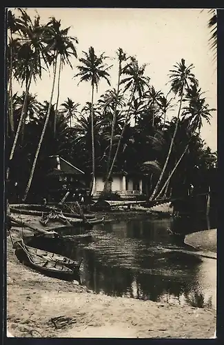 AK Tanjong, Strandpartie mit Palmen