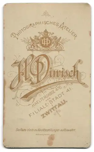 Fotografie H. Diwisch, Zwittau, Haeltergasse 476, Älterer Herr mit Glatze und dickem Schnauzbart