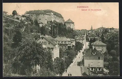 AK Tübingen, Schloss mit Neckarhalde