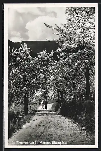 AK St. Martin /Rheinpfalz, Im Blütengarten