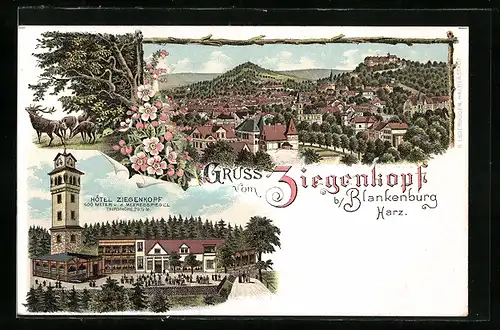 Lithographie Blankenburg / Harz, Hotel Ziegenkopf, Gesamtansicht