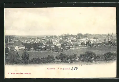 AK Blâmont, Vue générale, Totalansicht