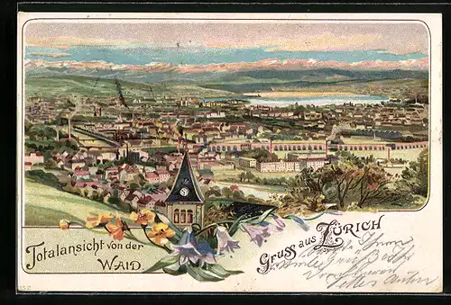 Lithographie Zürich, Totalansicht von der Waid