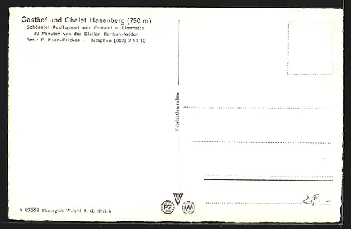 AK Widen, Hasenberg, Gasthof und Chalet Hasenberg E. Exer-Fricker mit Bergpanorama